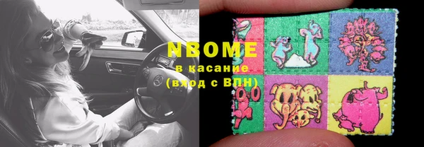 прущие грибы Баксан