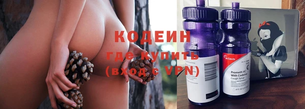 прущие грибы Баксан