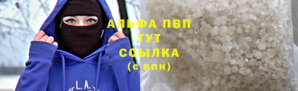 прущие грибы Баксан