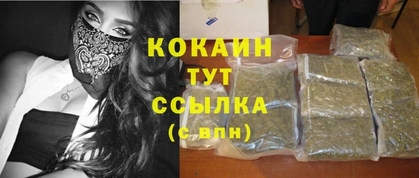 прущие грибы Баксан