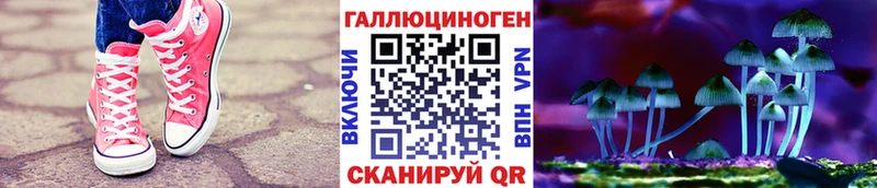 Галлюциногенные грибы Magic Shrooms  Купить  Маркс 